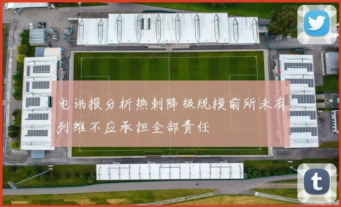 电讯报分析热刺降级规模前所未有列维不应承担全部责任