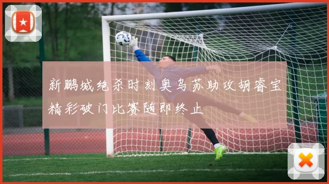 新鹏城绝杀时刻奥乌苏助攻胡睿宝精彩破门比赛随即终止