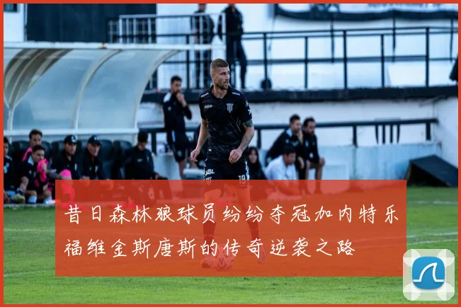 昔日森林狼球员纷纷夺冠加内特乐福维金斯唐斯的传奇逆袭之路